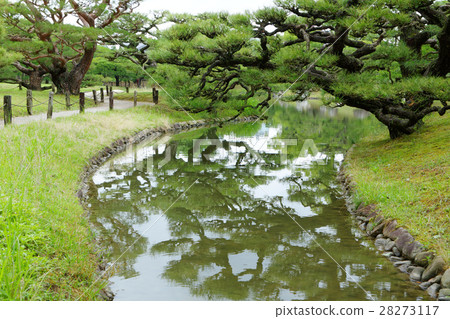 Rurin公園和風景杉樹在河反射了 28273117