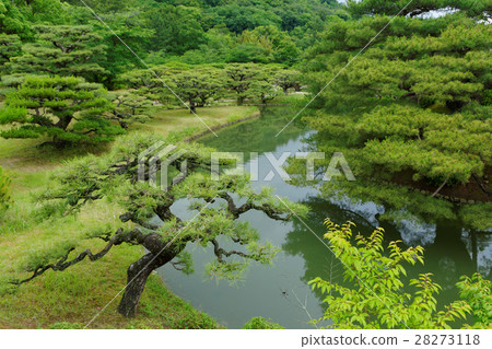 Kuribayashi公園的松樹林和湖面上反映的風景 Kuribayashi公園的松樹林和湖面上反映的風景 28273118