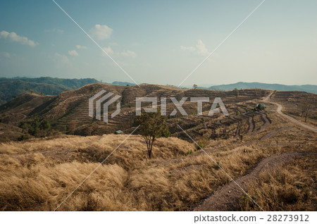 Mountain agriculture in Nan Province,Thailand Mountain agriculture in Nan Province,Thailand 28273912