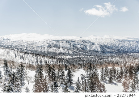 Beautiful Winter landscape 28273944