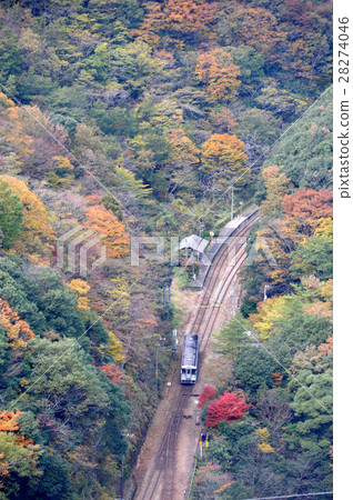 Unexplored Railway Station Autumn Tsubosaki Station 28274046