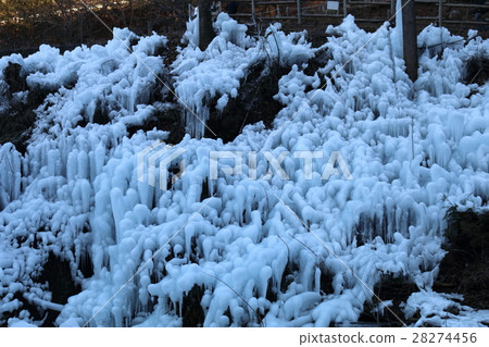 Ice pillar of ragwood Ice pillar of ragwood 28274456