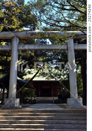 Kashima Shrine in Oi, Shinagawa-ku 28274846