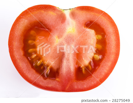 Red tomato on white background 28275049