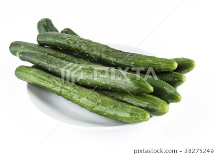小黃瓜在白色的背景上 28275249