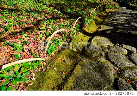 Cobbled in the garden Cobbled in the garden 28275876