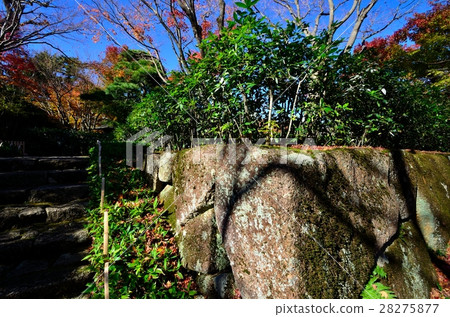 Ishigaki of the garden 28275877