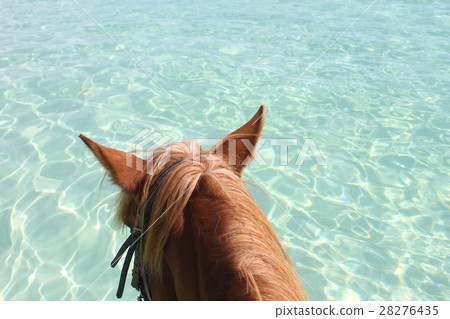 Caribbean beach Caribbean beach 28276435
