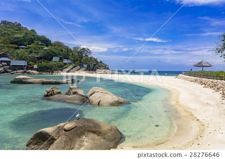南島的海在Koh Tao島 28276646