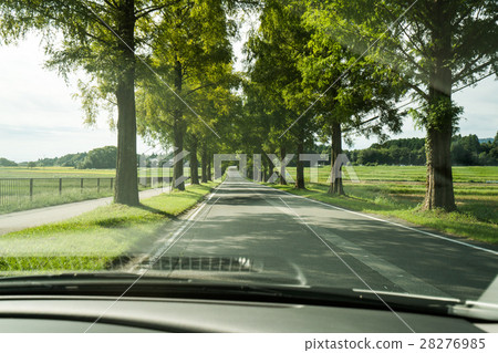 觀光的牧野鎮·夏末·水杉Namiki(滋賀縣的風景) 觀光的牧野鎮·夏末·水杉Namiki(滋賀縣的風景) 28276985