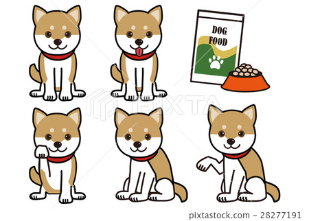 Brown Shiba Inu Variation Brown Shiba Inu Variation 28277191