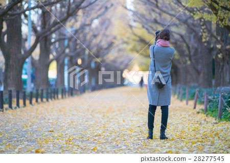 走過景觀外觀花園的絕美景色·銀杏納米（東京風景） 28277545