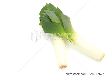 菜馬球洋蔥leeky西部菜 28277674