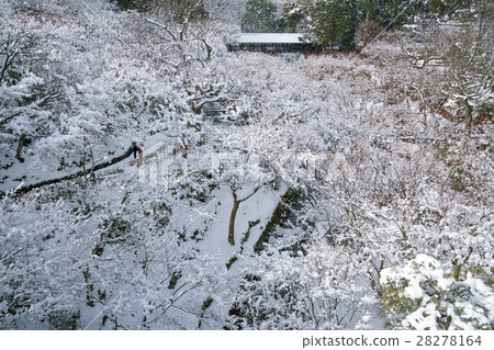 Snow scenery of Tofukuji Temple in a wonderful view · Winter (Landscape in Kyoto) 28278164