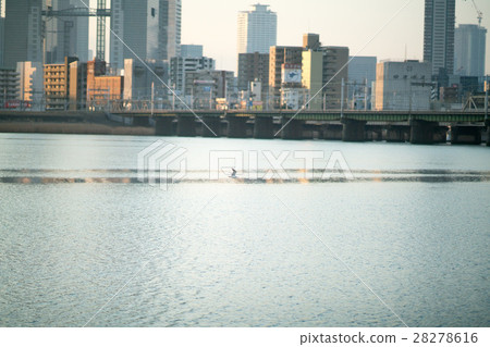The morning view of Umeda and Yodogawa from the thirteen (Osaka landscape) 28278616