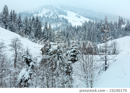 Winter Ukrainian Carpathian Mountains landscape. 28280170