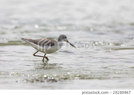 Spicy at the beach 28280967