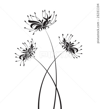 Vector Flower higanbana Vector Flower higanbana 28281104