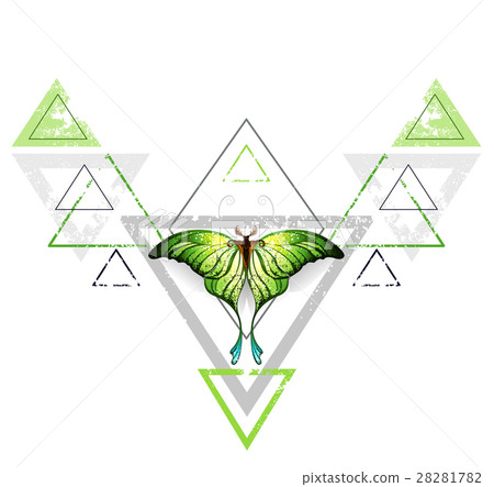 Geometric pattern with green butterfly 28281782