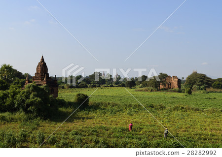 蒲甘的寶塔 28282992