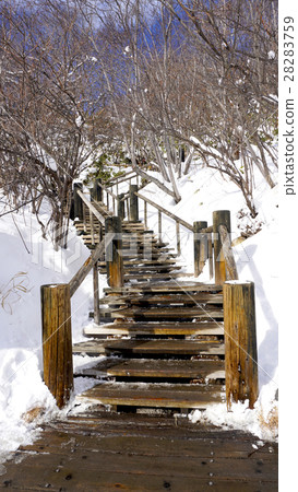 Snow stair walkway in the forest Noboribetsu onsen 28283759