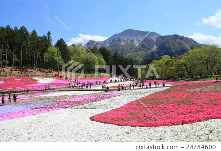 Rishan Park Shiba Sakura Hill和Mt. 28284600