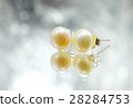 Earrings with pearls on the background 28284753
