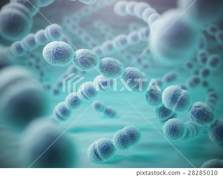 Streptococcus pneumoniae or pneumococcus bacterias 28285010