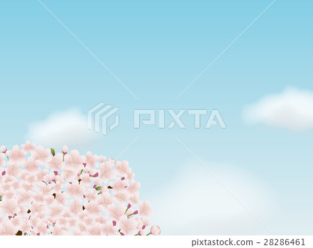 櫻桃框架材料 28286461