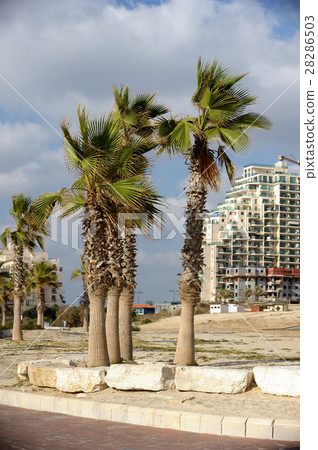 Seafront of Ashkelon in Israel Seafront of Ashkelon in Israel 28286503