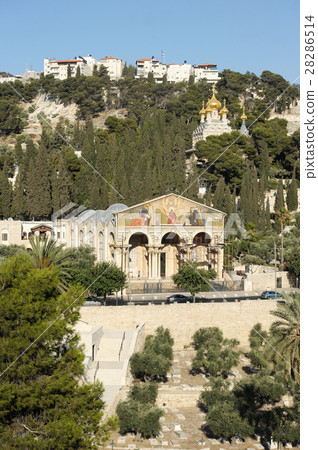 Kidron Valley and the Mount of Olives in Israel 28286514