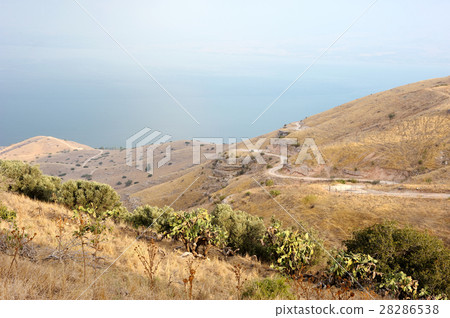 Slopes of the Golan Heights Slopes of the Golan Heights 28286538