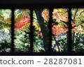 Autumn leaves over a lattice 28287081