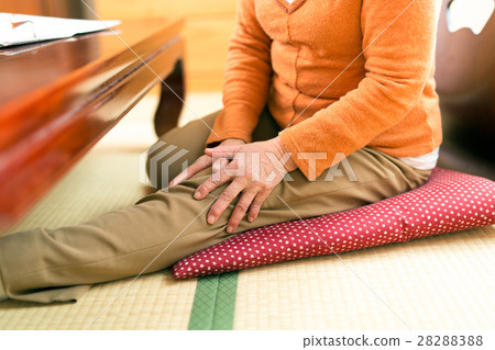 膝蓋疼痛和疼痛的高級女性 膝蓋疼痛和疼痛的高級女性 28288388