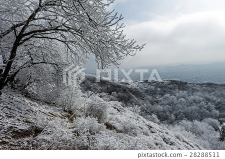 Winter landscape of Caucasus 28288511