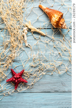 starfish, seashell and marine network 28289179