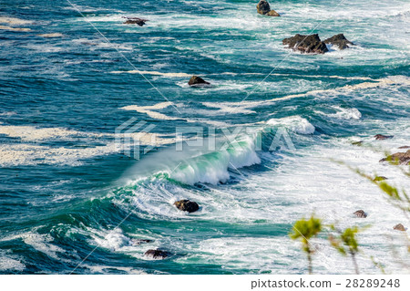 USA Pacific coast landscape, California USA Pacific coast landscape, California 28289248