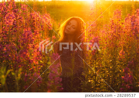 Beautiful girl on field, sun backlight, sunrise Beautiful girl on field, sun backlight, sunrise 28289537