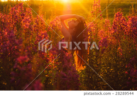 Beautiful girl on field, sun backlight, sunrise Beautiful girl on field, sun backlight, sunrise 28289544