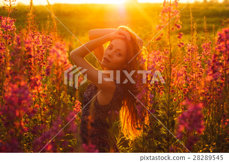Beautiful girl on field, sun backlight, sunrise Beautiful girl on field, sun backlight, sunrise 28289545