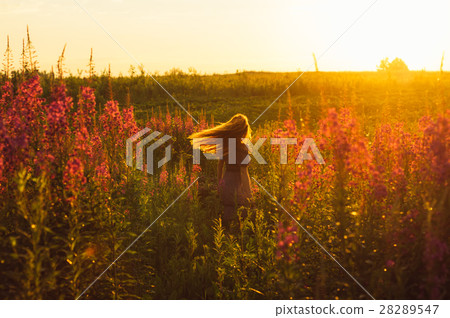 Dancing beautiful girl on field, sun backlight Dancing beautiful girl on field, sun backlight 28289547