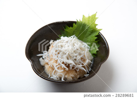 shirasu daikon 28289681