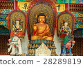 buddha temple 28289819