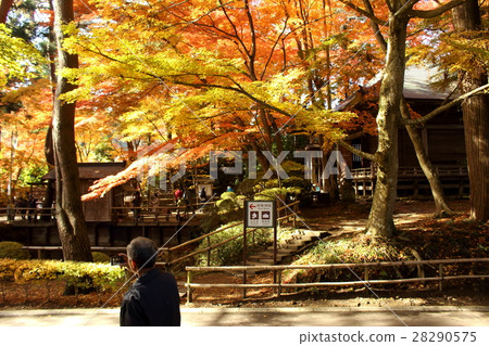 Choyuji Mine in Yakushiji 28290575