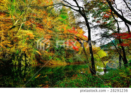 Mizunuma dam 28291236