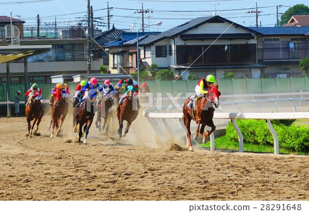 Scenery of the Urawa racecourse Scenery of the Urawa racecourse 28291648