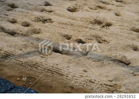 Scenery of the Urawa racecourse Scenery of the Urawa racecourse 28291652