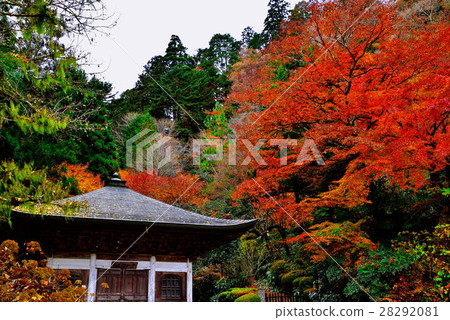 Unganji Temple Unganji Temple 28292081