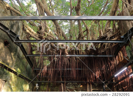 Hiroyuki Tokuho · Anping tree store Tainan Hiroyuki Tokuho · Anping tree store Tainan 28292091