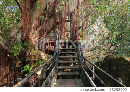 Hiroyuki Tokuho·安平樹店台南 28292093